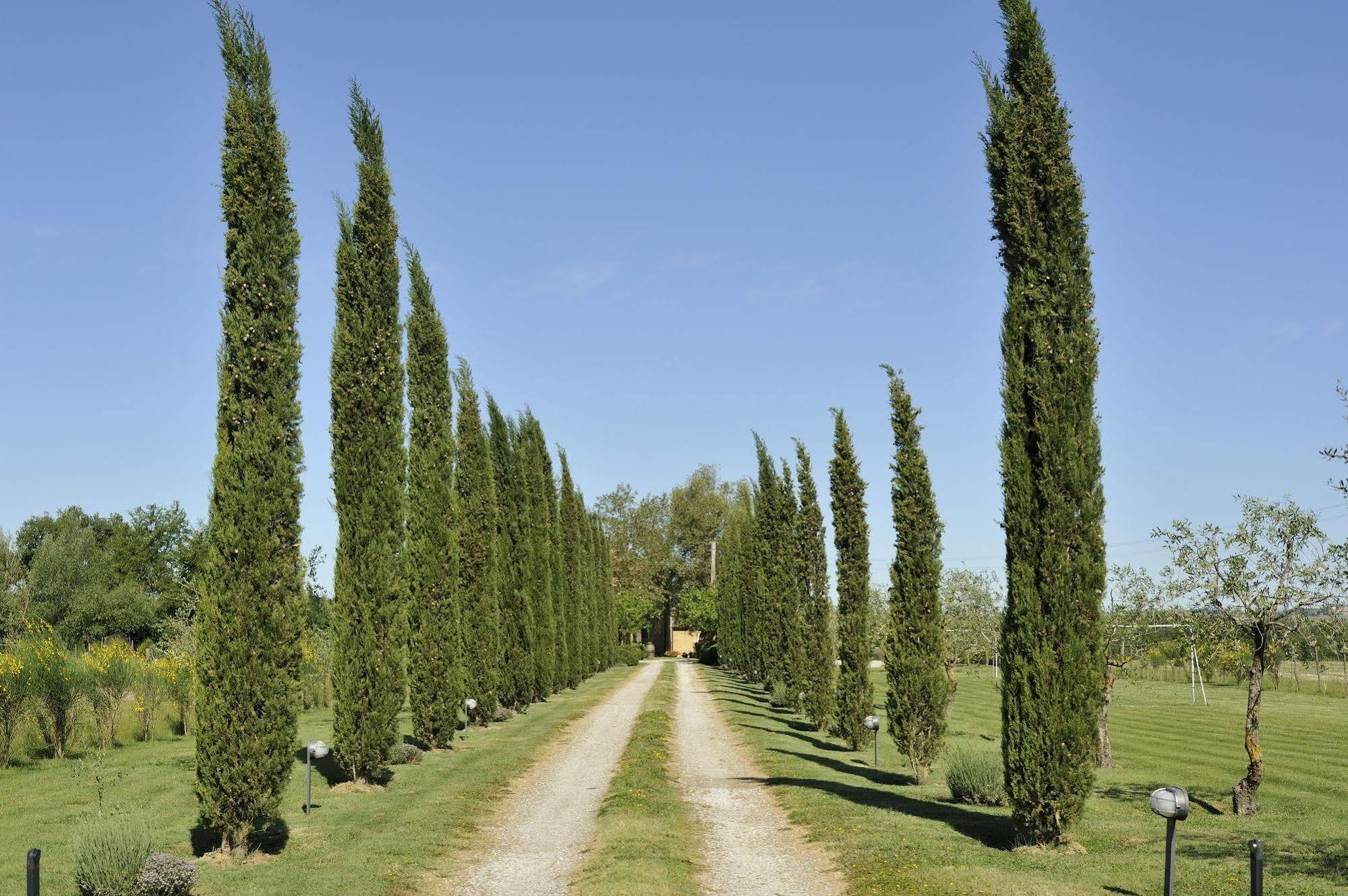 Agriturismo La Lodola Castelnuovo Berardenga Ngoại thất bức ảnh